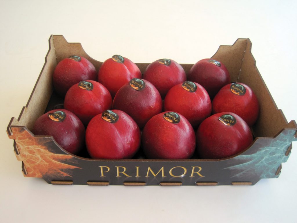 SPECIAL spain PRIMOR Nectarina Caja Primor 20x30 002