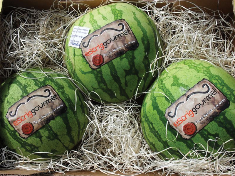 MELONS-spain-FRUTAS-ESCRIG