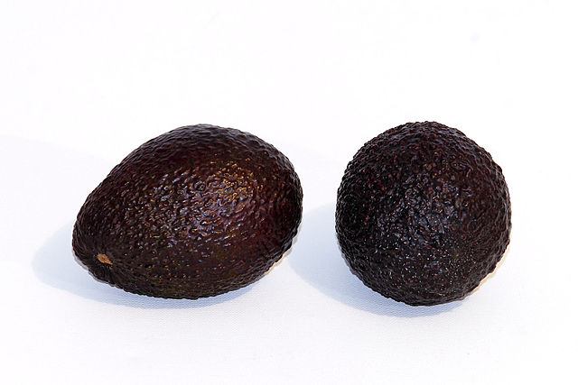 640px-Hass_avocado_-white_background