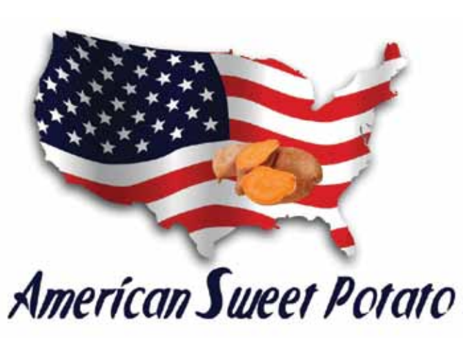 Europe – which imported about 80,000 tons in 2013 – is the main sweet potato export destination for the US, which already has a 50% share of the market, followed distantly by Israel.