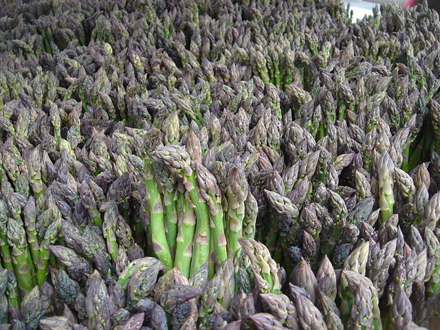 640px-Green_Asparagus_New_York_11_May_2006