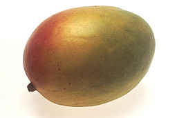 Mango_(1)