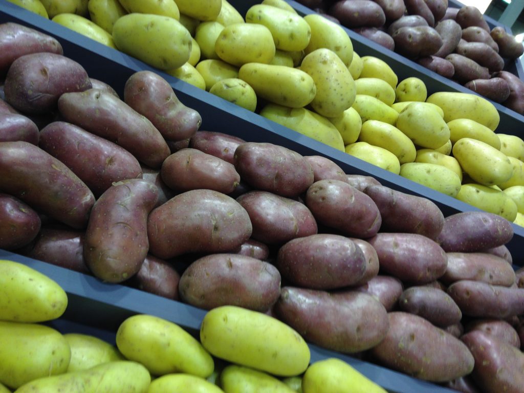 China’s bid to make potatoes the country’s fourth most important staple crop – after rice, wheat and corn – is motivated by food security and sustainability concerns, explains Euromonitor International.