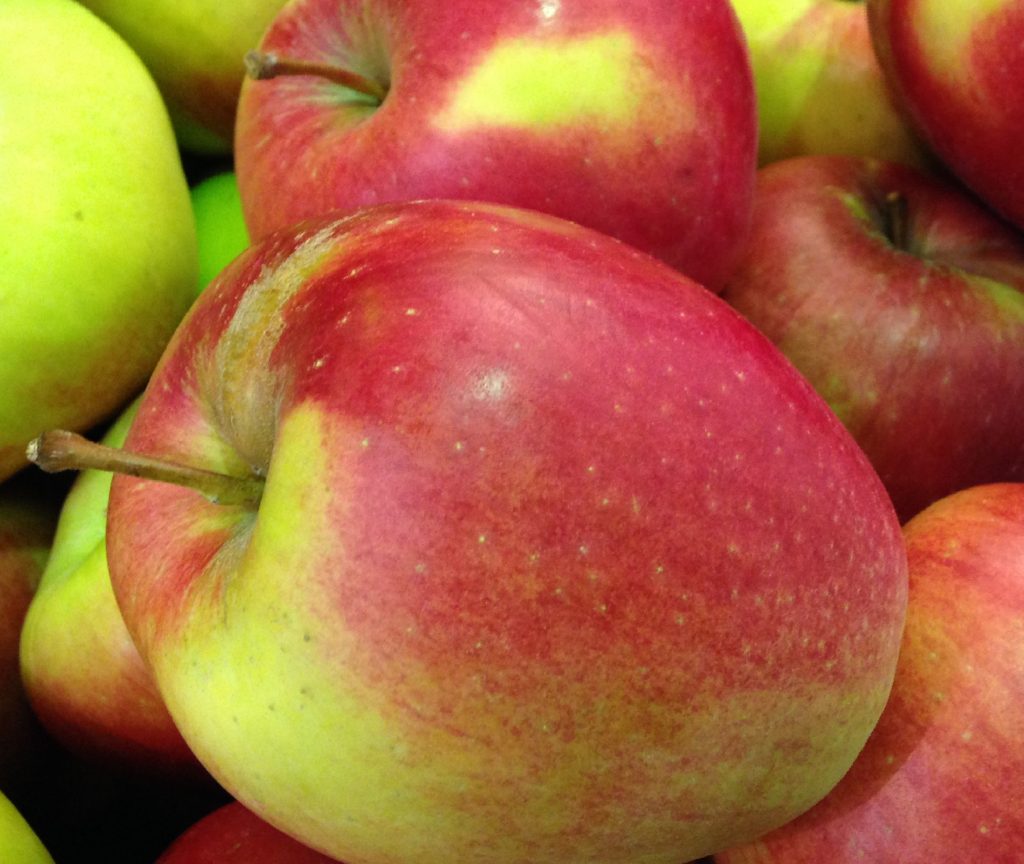 “The largest USDA apple purchase in history” is how the US Apple Association describes the US Department of Agriculture’s plans to buy fresh apples and processed apple products for surplus removal.