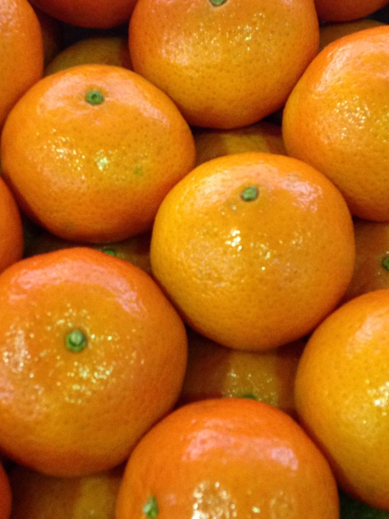 Citrus fruit from the entire country of Peru could be imported into the continental United States under a change proposed by the U.S. Department of Agriculture’s Animal and Plant Health Inspection Services (APHIS).