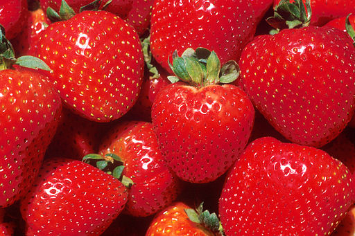 Spain’s strawberry capital, Huelva, has bounced back from last year’s poor results with a nearly 21% boost in turnover – to €355 million – in its latest season.