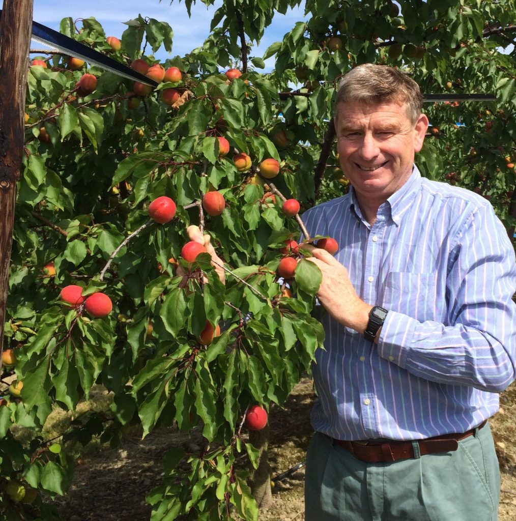 Nigel_Bardsley_in_orchard_July_2015 - Edited