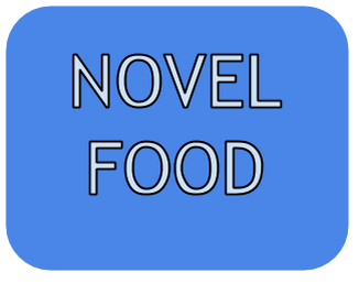 Nanotechnology and cloning are among issues provoking most debate as the EU considers reform of its novel food regulation.