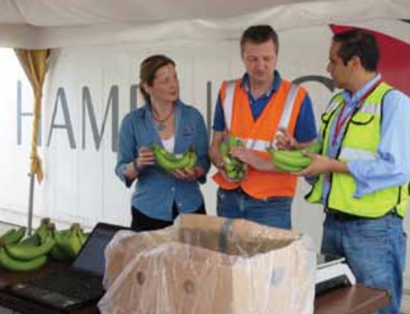 Cargo experts examine fruit quality after opening a test container equipped with the XtendFRESH system: Michaela Steineker, Thies Claussen & José Ortiz from Eurofins.