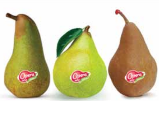 Opera pear