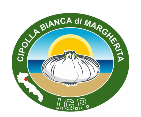 Italy’s ‘Cipolla Bianca di Margherita’ – a sweet, white onion produced along the Adriatic coast – was registered in the EU as a Protected Geographical Indication (PGI) on October 20.