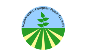 The estimate for the NEPG (North Western European Potato Growers) crop has been raised by 300,000 tons on that of early October and now stands at nearly 25.16 million tons of consumption potatoes.