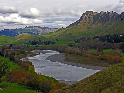 The deciduous fruit sector in New Zealand is experiencing its third year of solid profits. The sector is now well into a major expansion phase, moving towards a goal of increasing export receipts to NZ$ one billion by 2022.