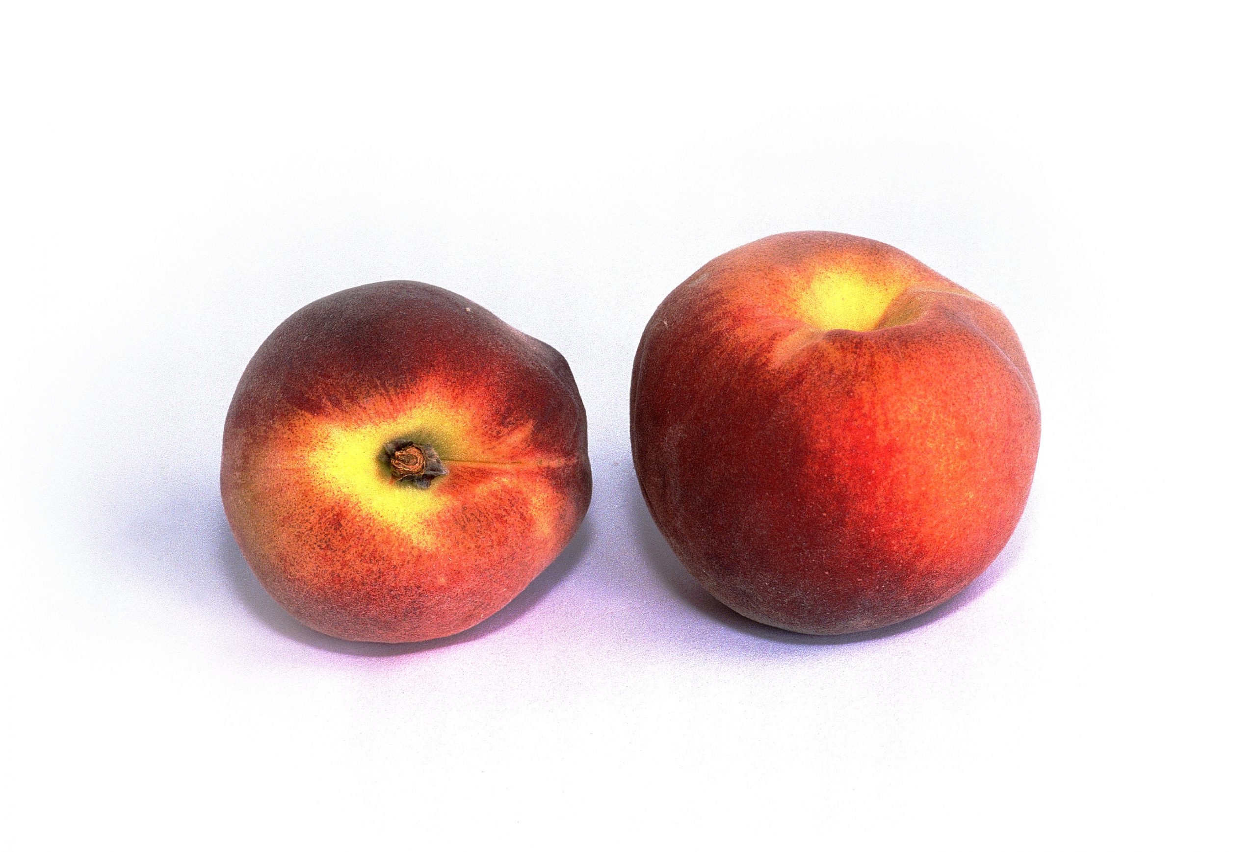 Italy is also major peach and nectarine exporter, mainly within the EU-28. In 2014, it exported 298,442 tons of peaches and nectarines, 19% less than 2013.