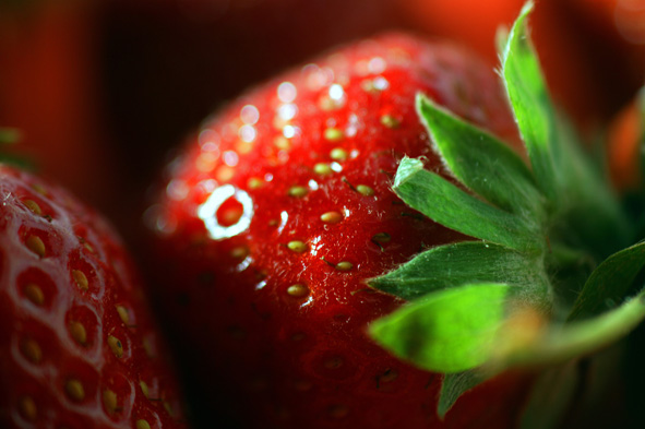 International Strawberry Symposium 2020: programme for the IX edition published