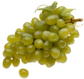 In its latest report on world markets and trades for deciduous fruit, the FAS also said global trade in fresh table grapes is likely to remain steady at about 2.7 million tons in the 2015/16 marketing year, though both Peru and China are poised to increase their shares.