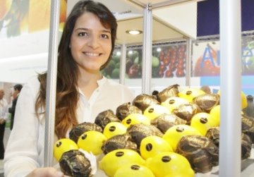 Zamora Citrus is a producer, packer and exporter of fresh Argentine lemons.