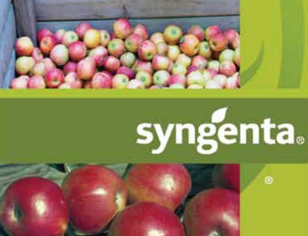 ‘Fruit Quality Contract’ (FQC) is the value-added service provided by Syngenta to enhance market access for growers and partners