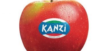 Kanzi® concludes a successful European season – smooth transition to southern hemisphere harvest