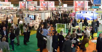 Spotlight on lettuce at MedFEL 2016