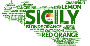 Citrus District of Sicily – a network of quality producers