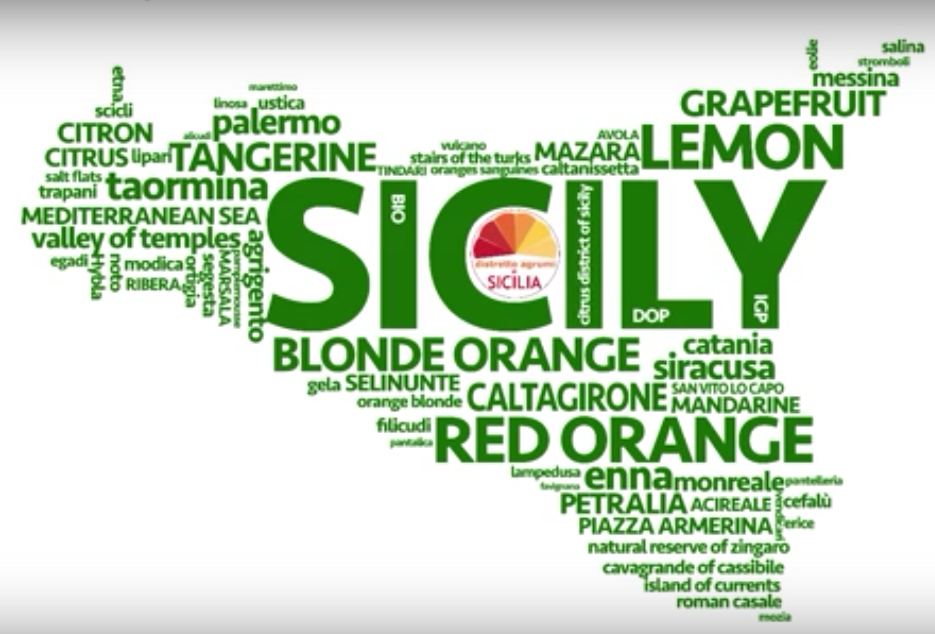 The Citrus District of Sicily is the first ground-breaking consortium formed in the region to create synergy between private marketing and processing companies, along with local authorities and the farming world. 