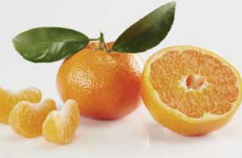 Tango Fruits, the seedless mandarin brand launched by Eurosemillas in 2014, will be presenting the business strategy for Europe for its Tango variety (registered in Spain as Tang Gold) at Fruit Logistica.