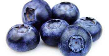 Huertos Collipulli, organic blueberry pioneer in China