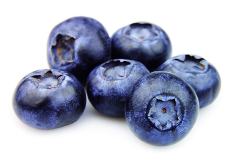 Huertos Collipulli plans to add fair trade certification to its organic blueberry operation, aiming to embrace the full concept, including good practices in the fields and packing facilities.