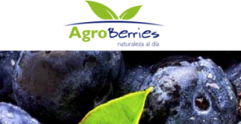 Agroberries leading Southern Hemisphere supply