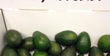 A 2 billion pound market for Hass Avocado
