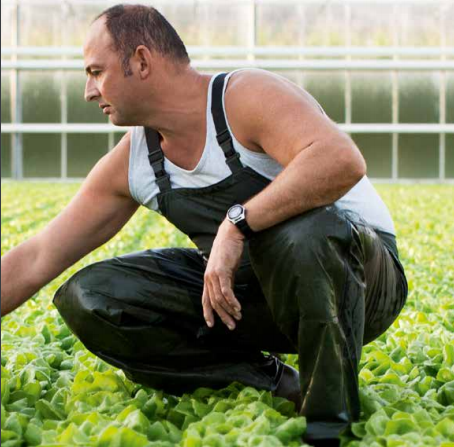 Belgium's early vegetable season has just burst into life.