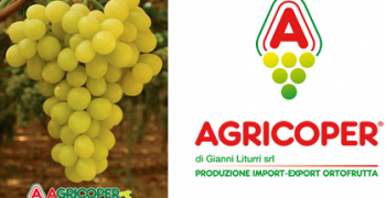 Agricoper increases its grape supply