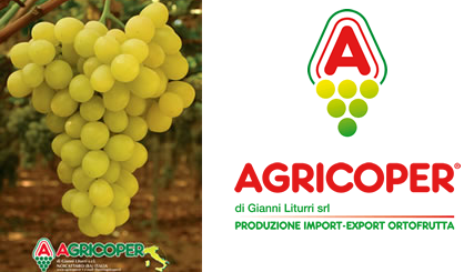 Agricoper is currently focused on expanding its activity to the Middle East and US and steps will be taken in this direction soon.