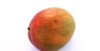 El Niño hits Ecuadorian mango