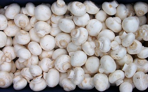 Researcher Yinong Yang used the gene-editing tool CRISPR–Cas9 to give white button mushrooms an anti-browning trait that improves appearance and shelf life, as well as facilitating automated mechanical harvesting.