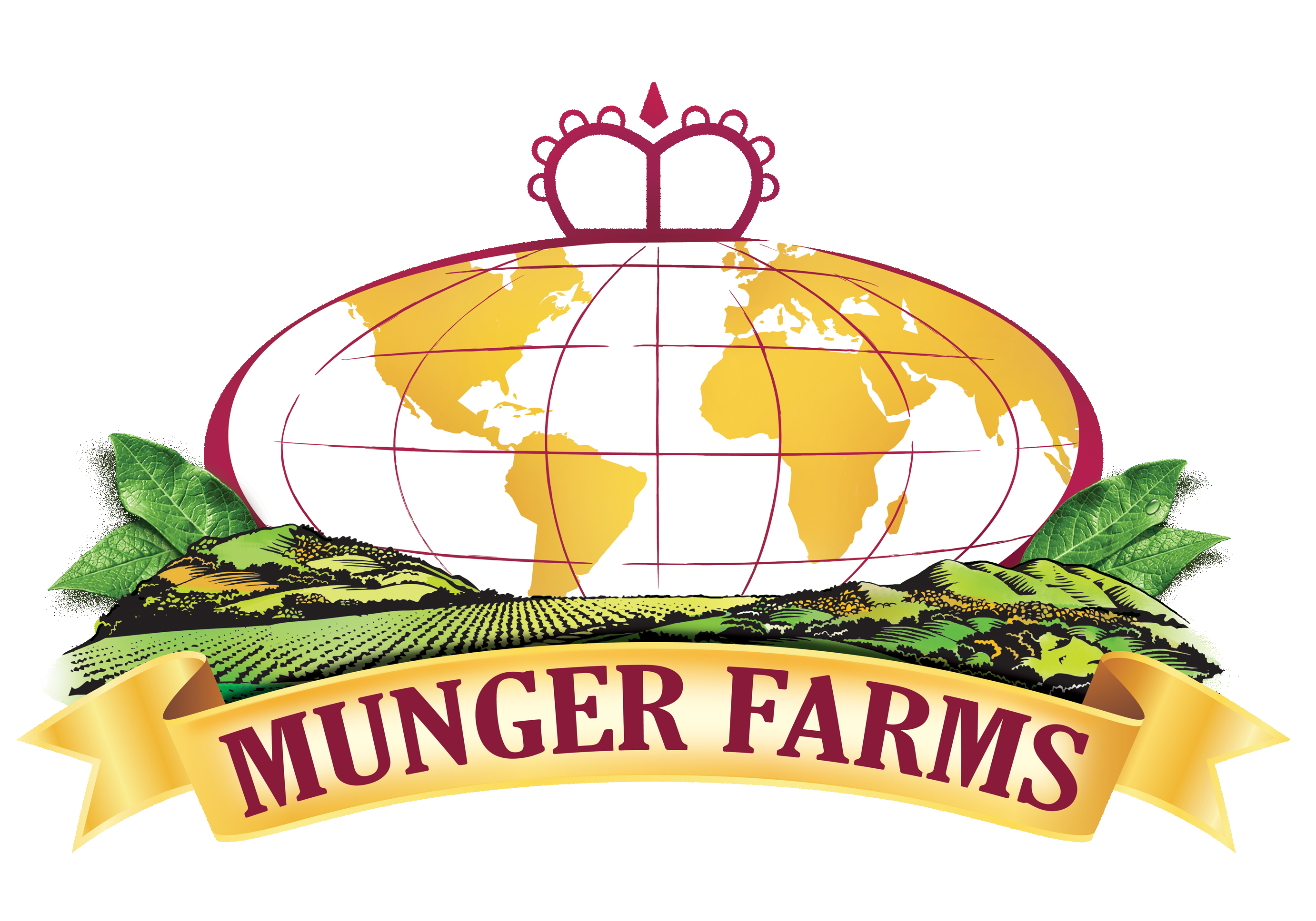 To be called Munger-Hortifrut North America, Inc., the new subsidiary of Hortifrut S.A. will manage its North American berry operations