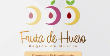Gruventa and Agro Marketing champion internationalisation of stone fruit