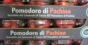 Pachino tomato to expand export operations