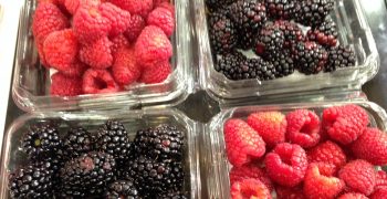 US opens to Ecuador’s blackberries, raspberries