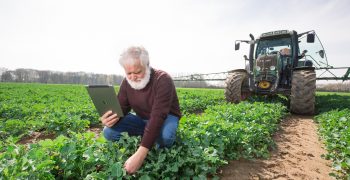 Bayer & Hamburg University together seeking new solutions for sustainable agriculture