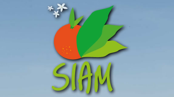 SIAM is a major date on the African continent and has an important place in the agenda of key national and international decision-makers, attracting more exhibitors and visitors every year. Spread over 17 ha and integrating 9 marquees, the 2016 event was particularly special, attracting a record level of visitors – more than 700,000 – as well as 1,200 exhibitors, with 65 different countries represented.