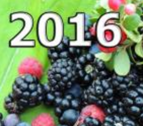 Berries of Ukraine-2016 conference program finalised