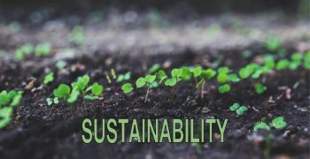 Making sustainability more than a buzz word