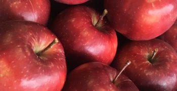 Tesco introduces new UK apple – Red Prince