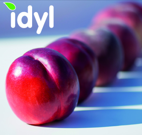 idyl specialises not only in stone fruit but also in high quality, tasty melons and tomatoes, and in partnership with producers in Provence, it markets and commercialises a full range of winter salads under its Eva brand.