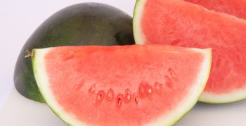 Melons: a lucrative staple of EU fruit trade