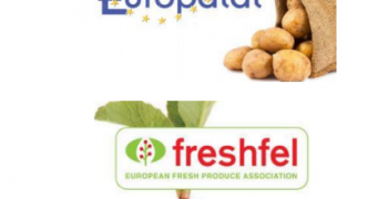 Freshfel Europe, Europatat on secret to tomorrow’s sales
