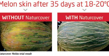 Prolonging the season with Naturcover Melon