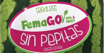 GO Veg&Fruit, the new watermelon brand from Agrupalmería and Femago groups